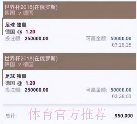 全面解析世界杯投注平台大全与投注攻略 全面解析世界杯投注平台大全与投注攻略